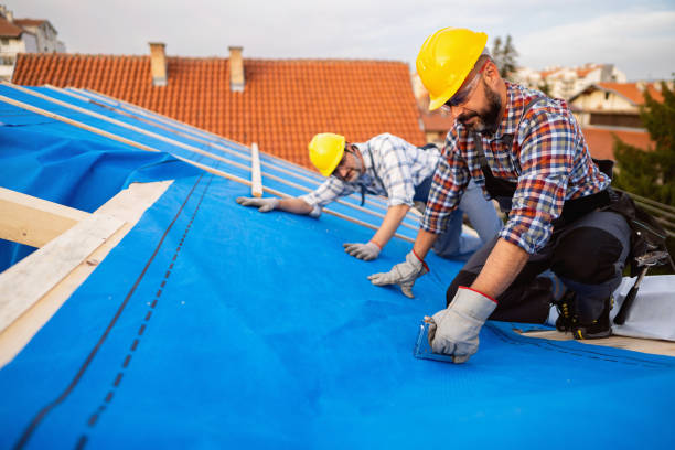 Best Flat Roof Repair Services  in Webberville, MI