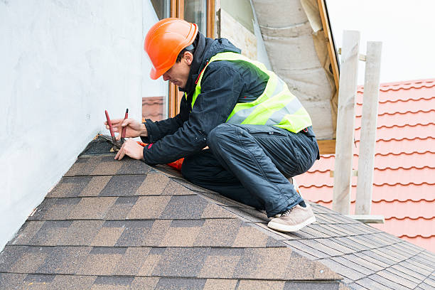 Best Storm Damage Roof Repair  in Webberville, MI