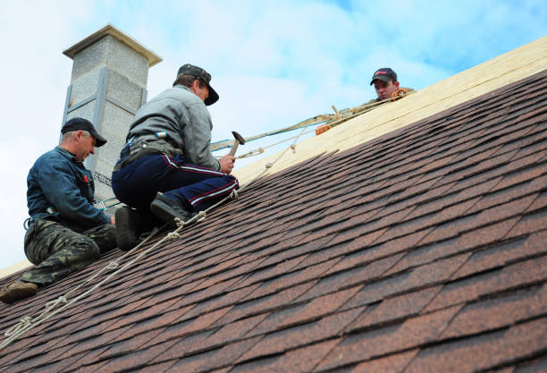 Best Roof Repair Services  in Webberville, MI
