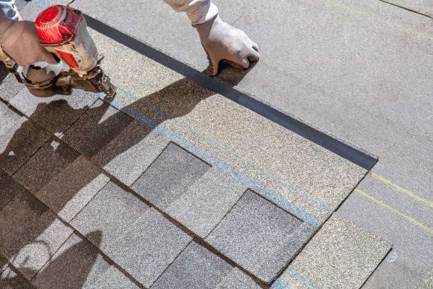 Best Roof Waterproofing Services  in Webberville, MI